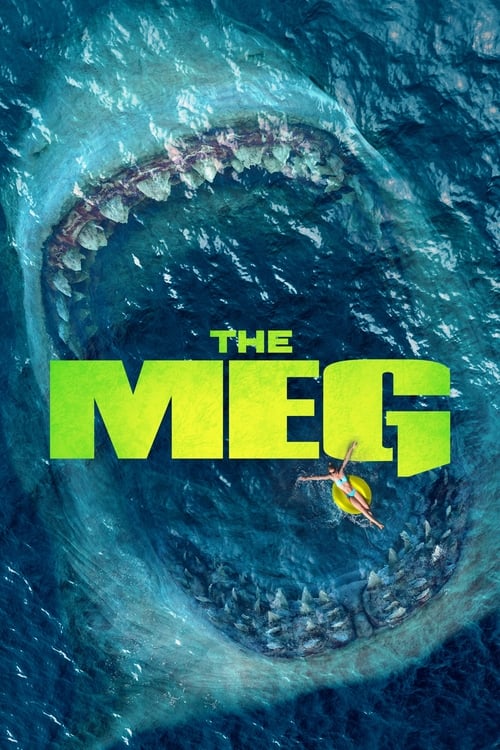 THE MEG 1