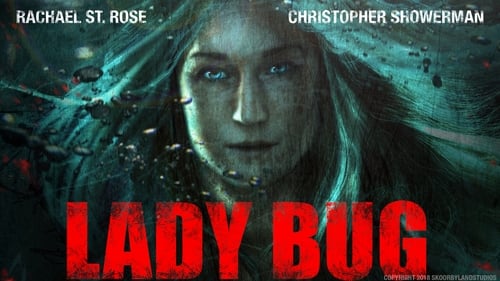 Lady Bug