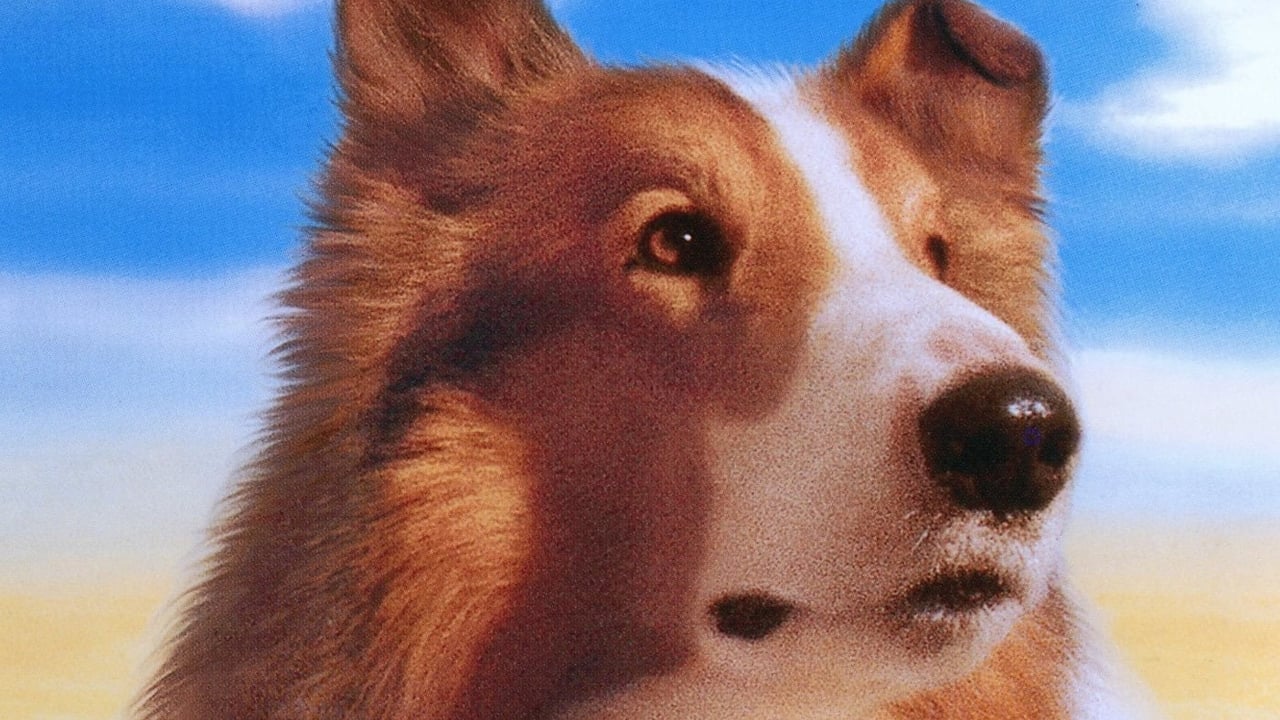 Lassie