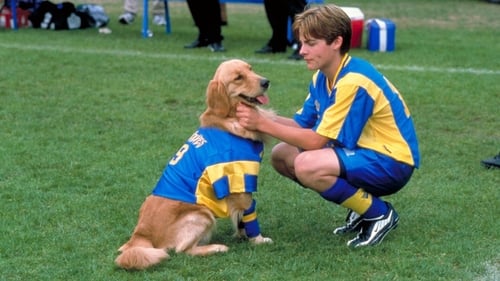 Air Bud: World Pup