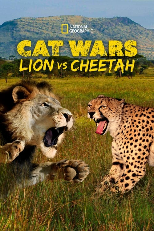 Cat Wars: Lion vs. Cheetah