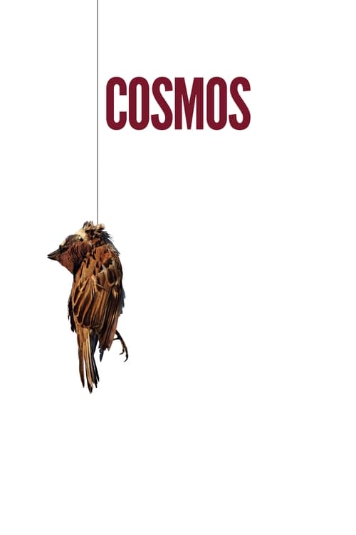 Cosmos