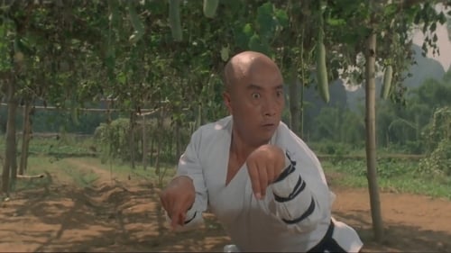 Martial Arts of Shaolin