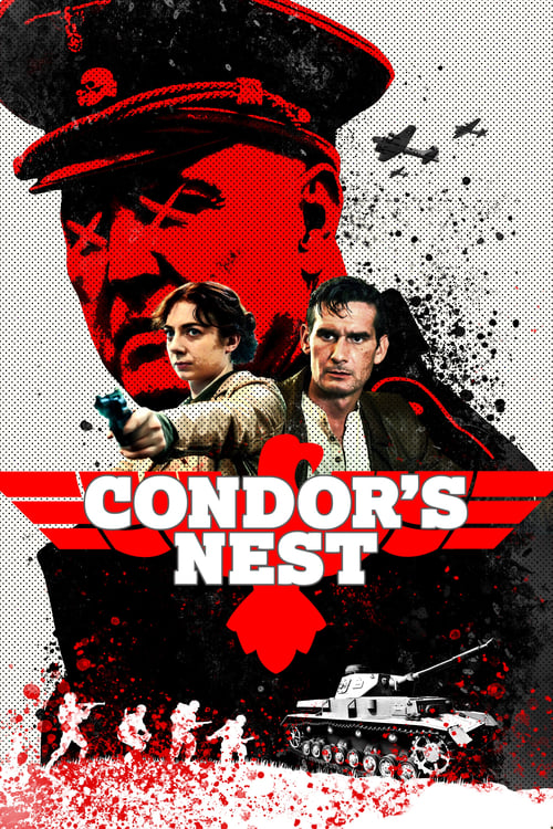 Condor's Nest