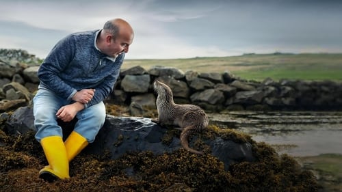 Billy & Molly: An Otter Love Story