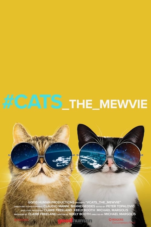 #cats_the_mewvie