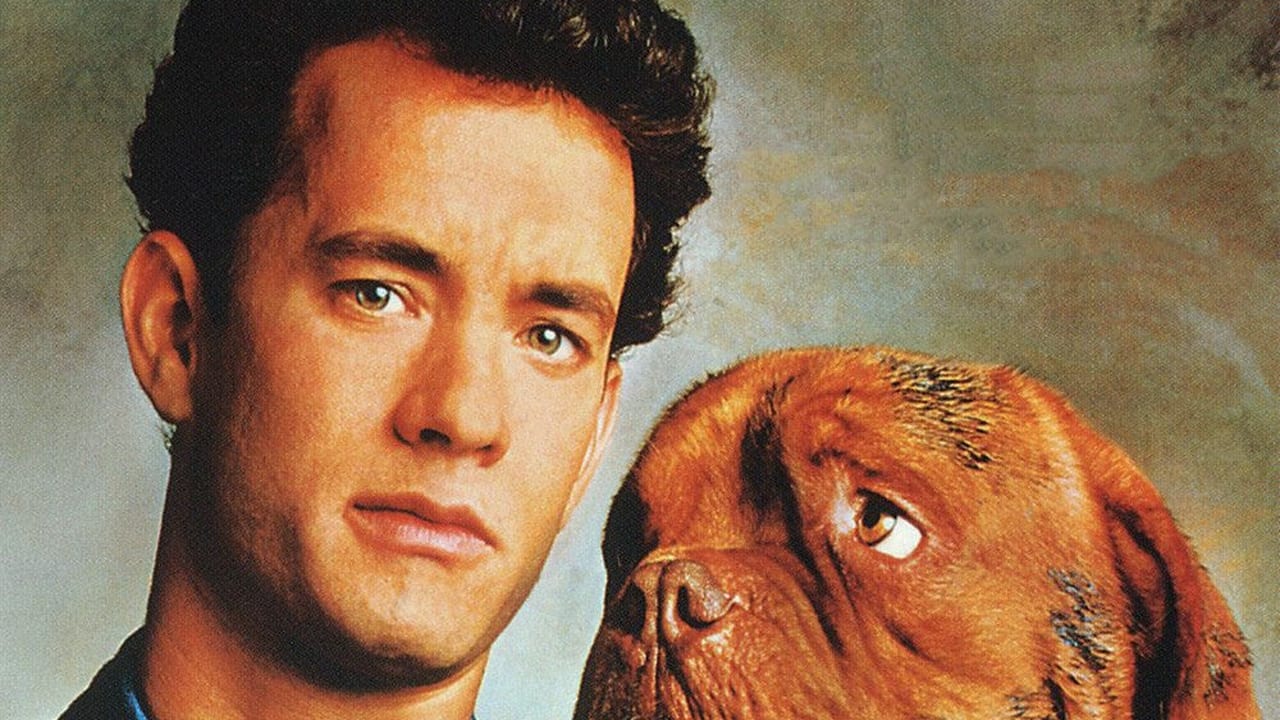 Turner & Hooch