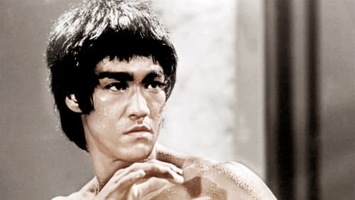 How Bruce Lee Changed the World