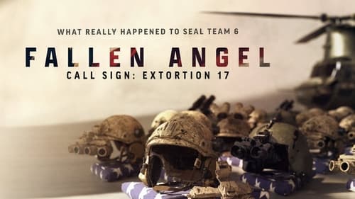 Fallen Angel Call Sign Extortion 17