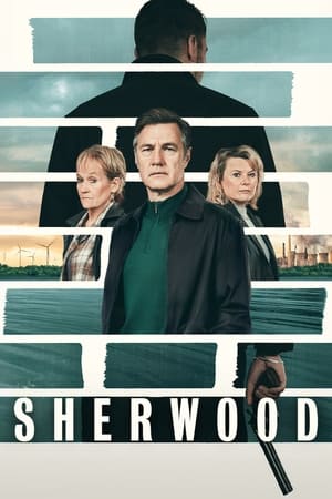 tv-series-poster-1