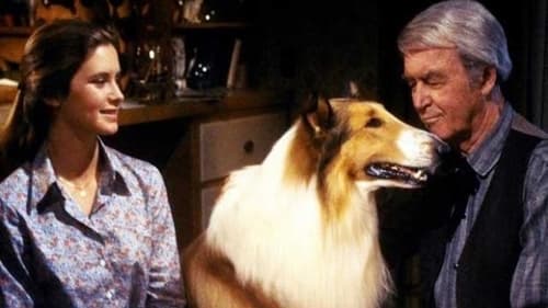 The Magic of Lassie