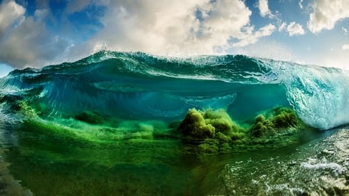 Shorebreak: The Clark Little Story