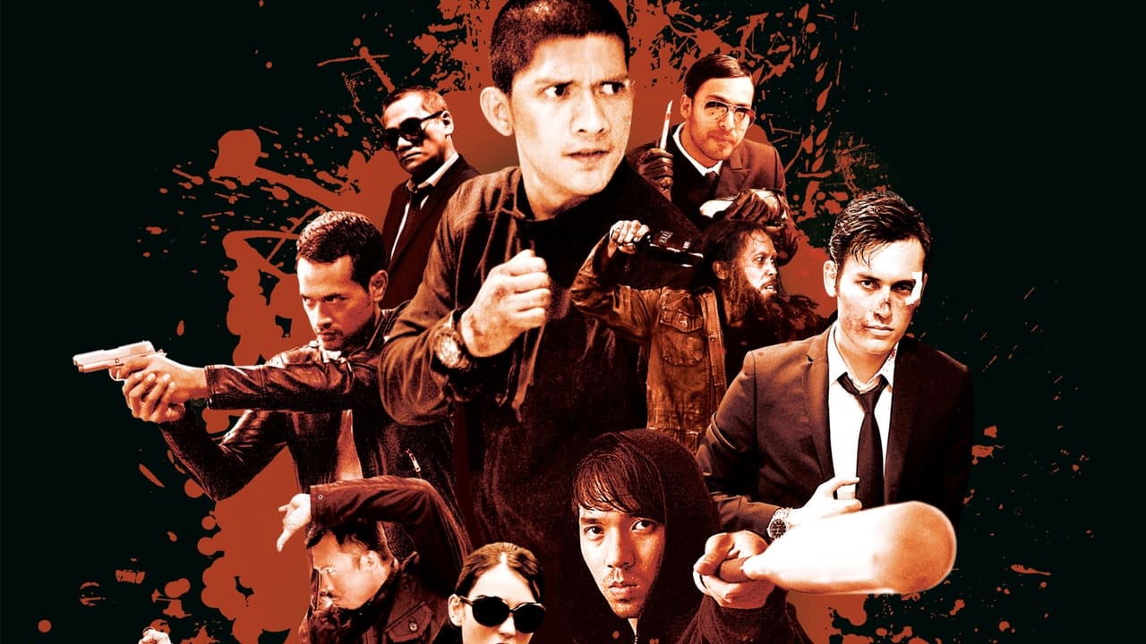 The Raid 2