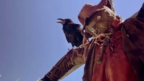 Night of the Scarecrow