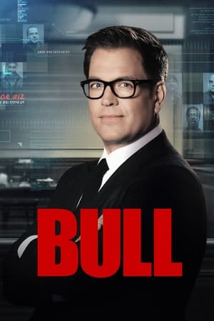 Bull