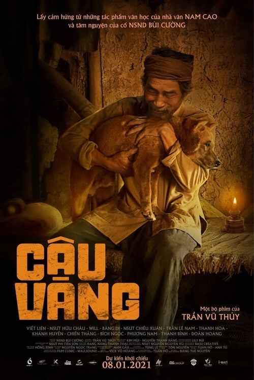 Cáº­u VÃ ng