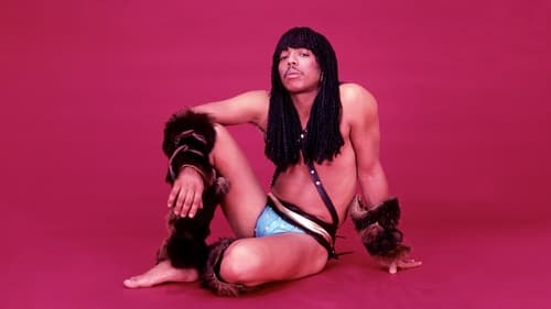 Bitchin': The Sound and Fury of Rick James