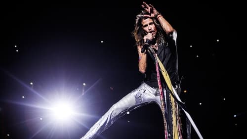 Steven Tyler: Out on a Limb