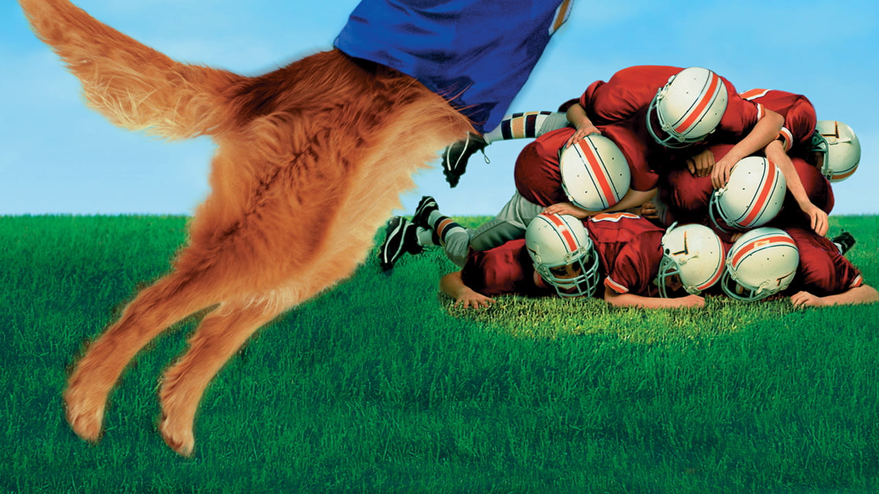 Air Bud: Golden Receiver