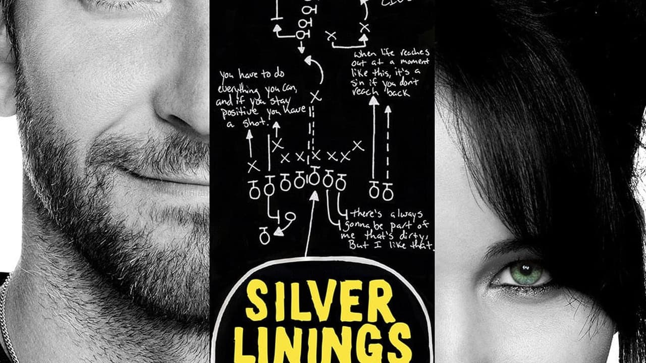 Silver Linings Playbook